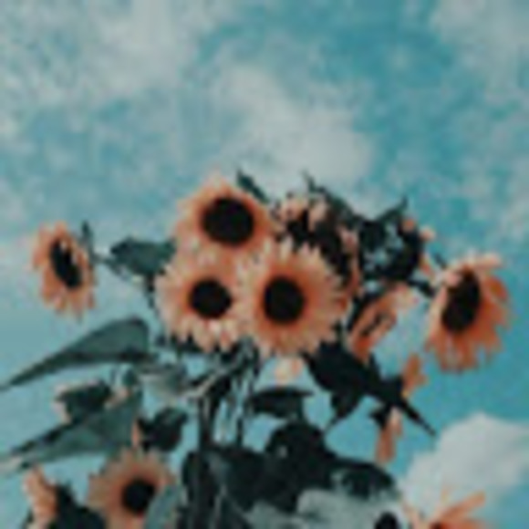 Meet your Posher, Kirsten - Picture 1 of 1